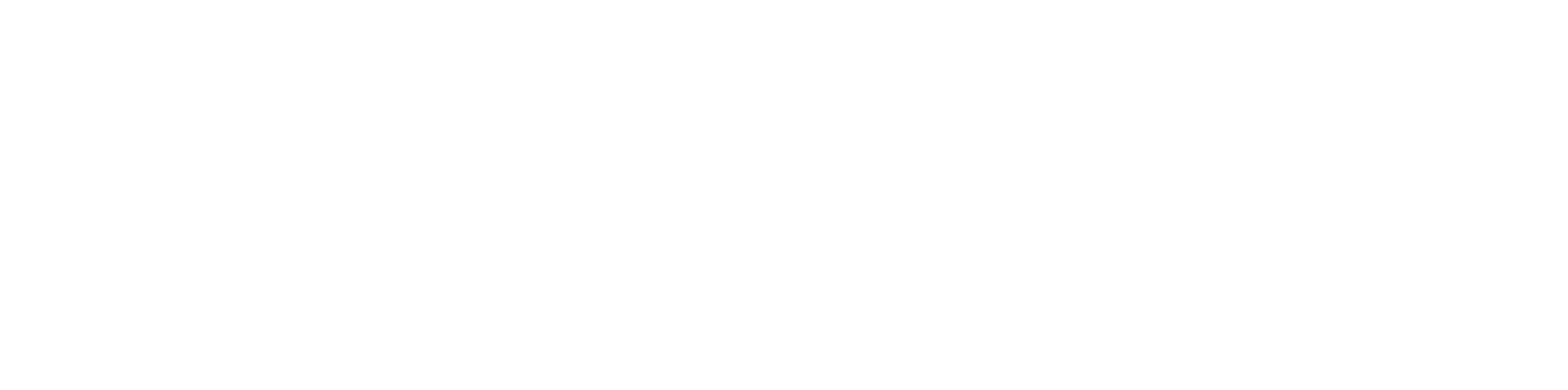 Official Bitmvr logo in white